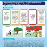 Agricultural Commodity Price Changes, Food Security, and Households’ Welfare in Tanzania