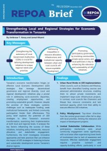 Strengthening Local and Regional Strategies for Economic Transformation in Tanzania